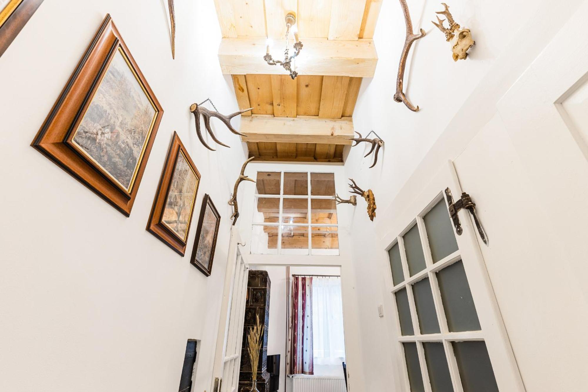 Sovi Dom- Historicke Apartmany Z 19 Storocia, 4Km Od Banskej Stiavnice Svätý Anton Εξωτερικό φωτογραφία